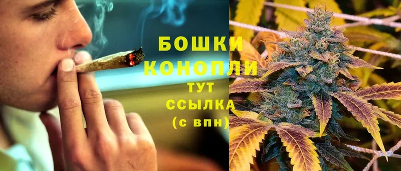 Каннабис Bruce Banner  Шахты 